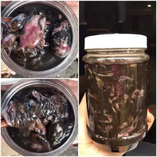 Mắm mực nhà làm