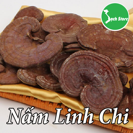 Nam Linh Chi Sach Store (1)