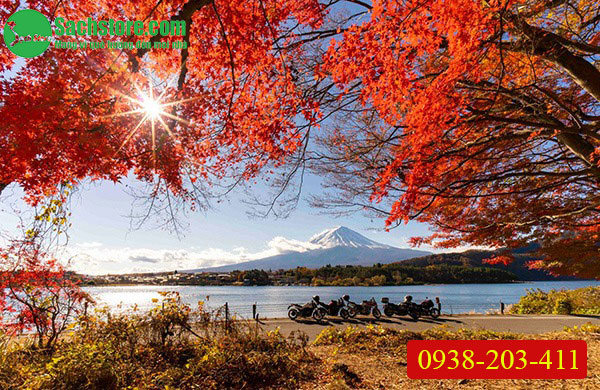 Đi Nhật mùa nào là đẹp nhất? Hãy cùng khám phá du lịch Nhật Bản